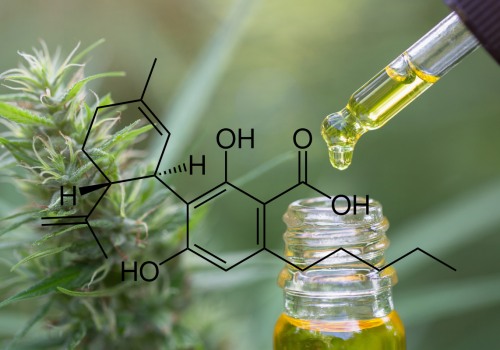 How Does CBD Impact Serotonin and Mood Regulation?
